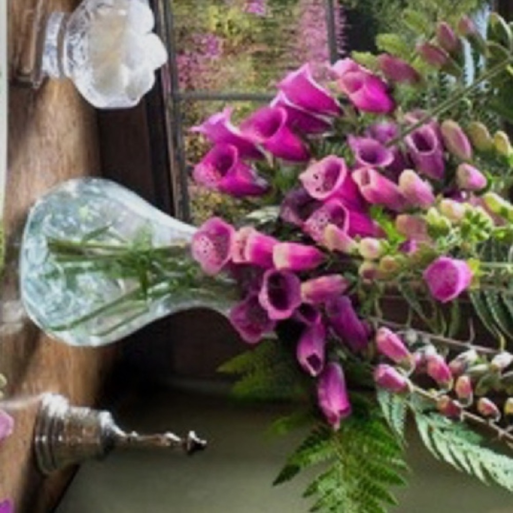 Meet your Posher, Shaista